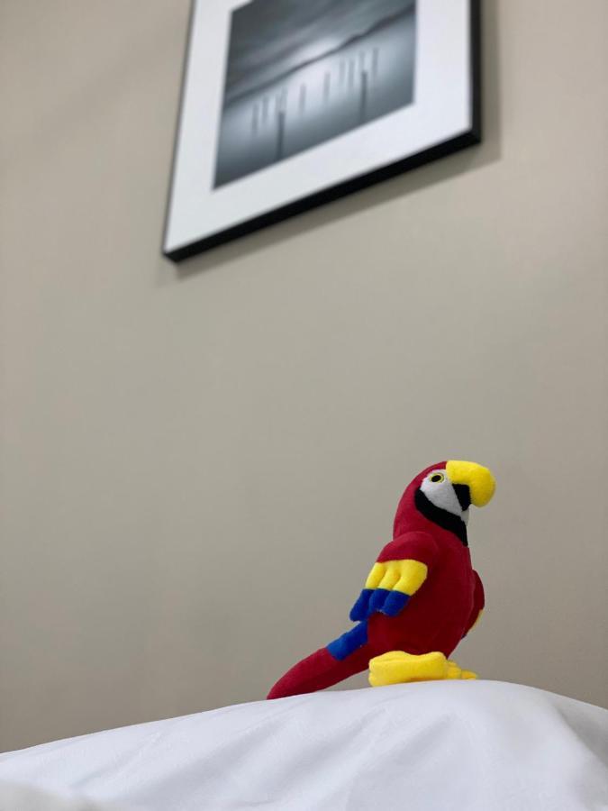 Guakmaya Hostel Cartagena 外观 照片